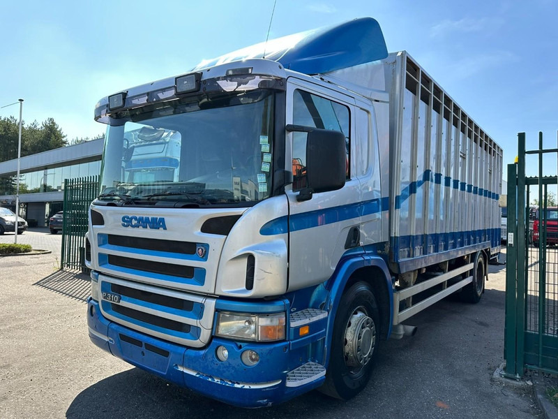 Scania P310 4x2 LIVESTOCK / VEEWAGEN / TIERTRANSPORT / BETAILLERE - ALU BOX 7m - MANUAL - A/C - BELGIAN TRUCK - Dyretransport lastebil: bilde 3 Scania P310 4x2 LIVESTOCK / VEEWAGEN / TIERTRANSPORT / BETAILLERE - ALU BOX 7m - MANUAL - A/C - BELGIAN TRUCK - Dyretransport lastebil: bilde 3