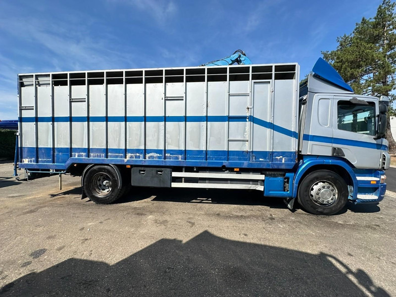 Scania P310 4x2 LIVESTOCK / VEEWAGEN / TIERTRANSPORT / BETAILLERE - ALU BOX 7m - MANUAL - A/C - BELGIAN TRUCK - Dyretransport lastebil: bilde 4 Scania P310 4x2 LIVESTOCK / VEEWAGEN / TIERTRANSPORT / BETAILLERE - ALU BOX 7m - MANUAL - A/C - BELGIAN TRUCK - Dyretransport lastebil: bilde 4