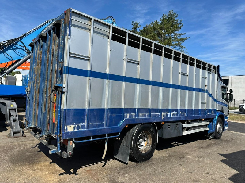 Scania P310 4x2 LIVESTOCK / VEEWAGEN / TIERTRANSPORT / BETAILLERE - ALU BOX 7m - MANUAL - A/C - BELGIAN TRUCK - Dyretransport lastebil: bilde 5 Scania P310 4x2 LIVESTOCK / VEEWAGEN / TIERTRANSPORT / BETAILLERE - ALU BOX 7m - MANUAL - A/C - BELGIAN TRUCK - Dyretransport lastebil: bilde 5
