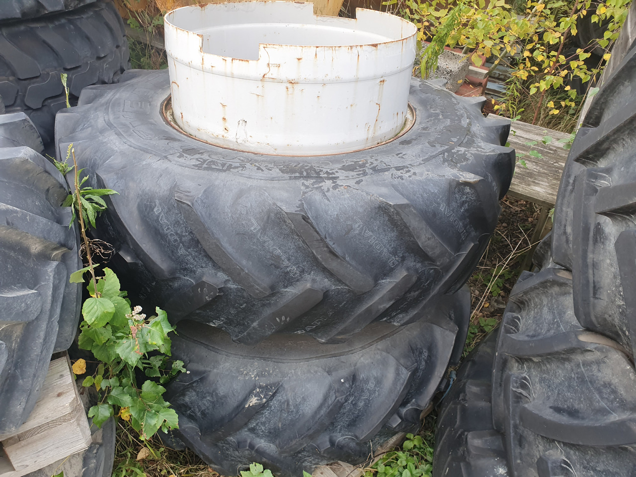 Goodyear 16.9R28 - Dekk for Landbruksteknikk: bilde 1 Goodyear 16.9R28 - Dekk for Landbruksteknikk: bilde 1