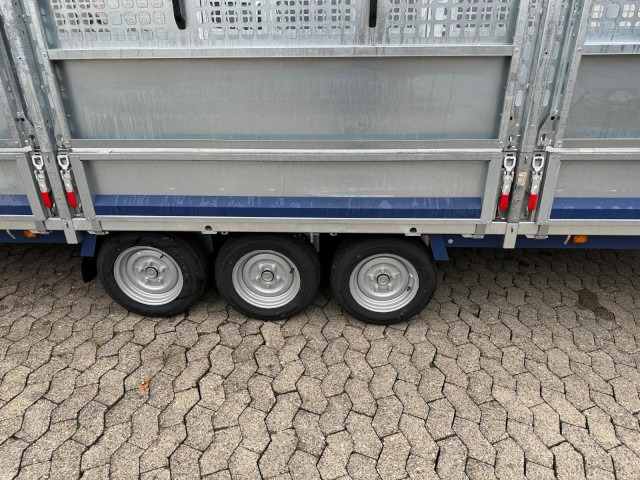 Brian James Cargo Connect Universalanhänger 476-6022-35-3-12, 6000 x 2250 x 300 mm, 3,5 to., 12 Zoll - Biltilhenger: bilde 4 Brian James Cargo Connect Universalanhänger 476-6022-35-3-12, 6000 x 2250 x 300 mm, 3,5 to., 12 Zoll - Biltilhenger: bilde 4