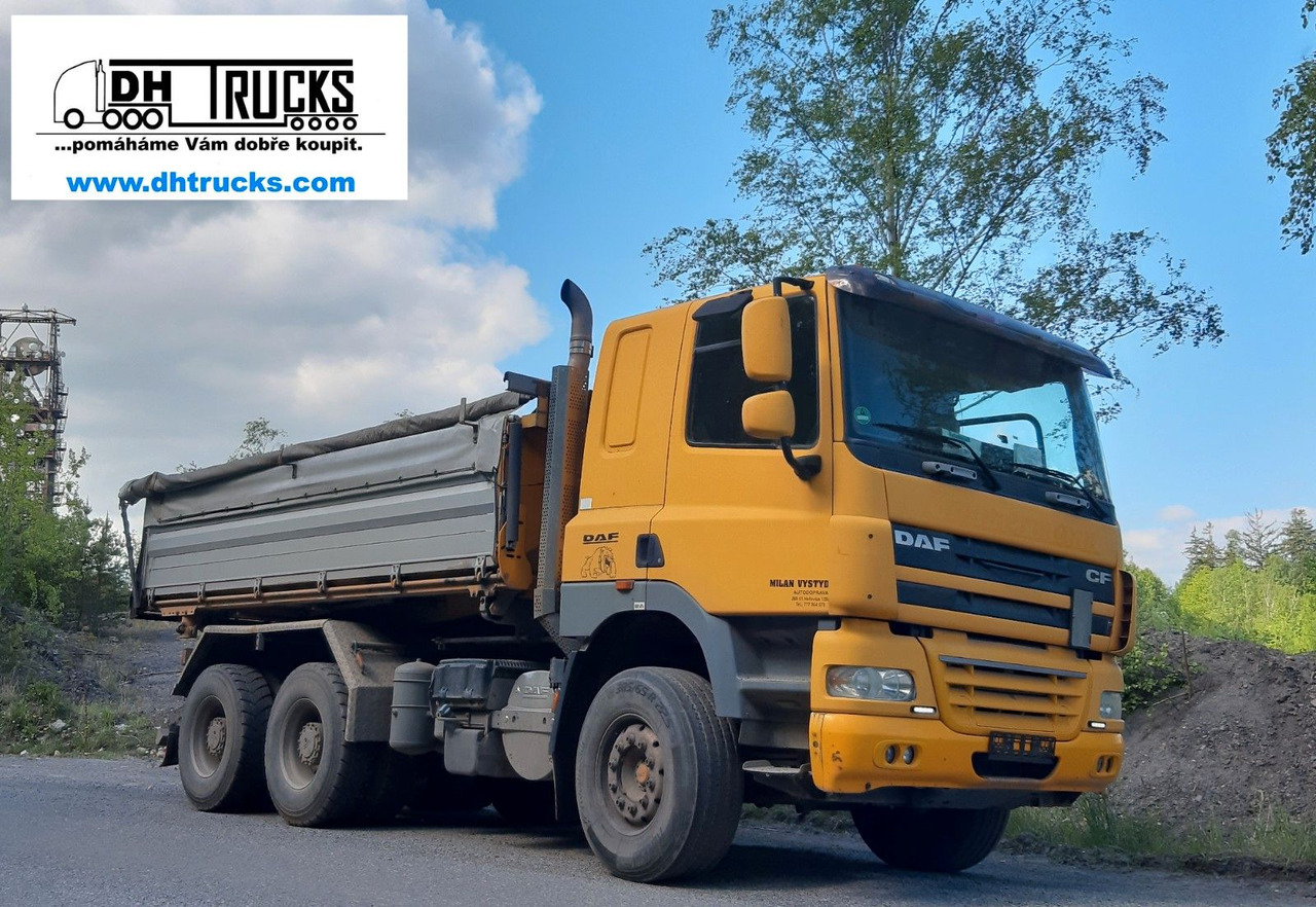 Tippbil DAF 460 6x4 /INTARDER/ SCHWARZMÜLLER/ NL 13.900 kg: bilde 10
