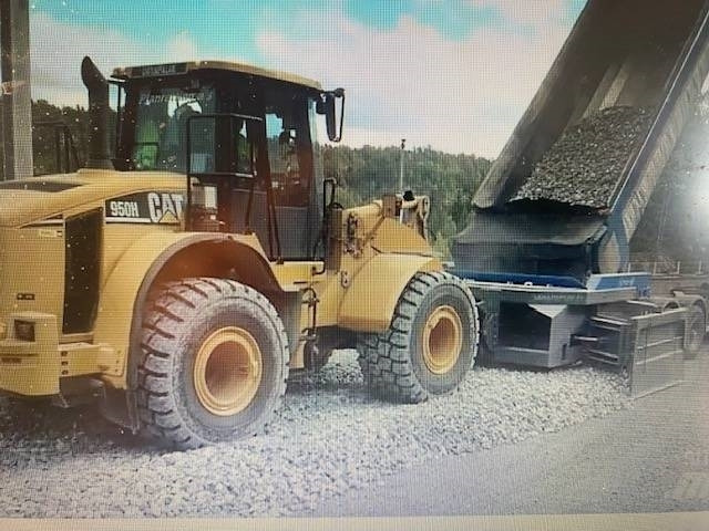 Reptail MM - Grader: bilde 1 Reptail MM - Grader: bilde 1