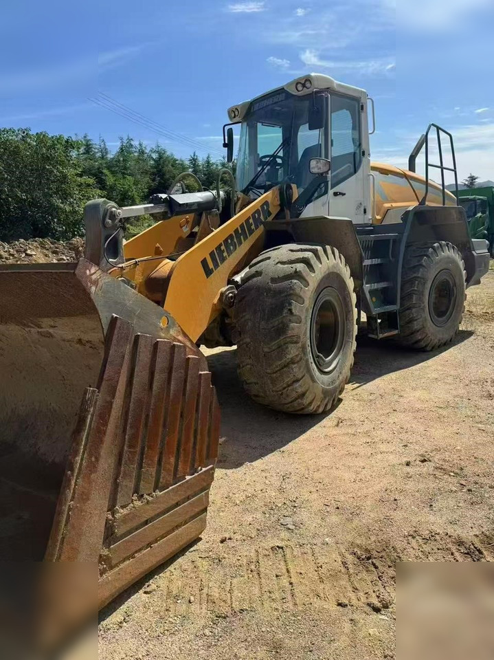 2020 LIEBHERR L550 - Hjullaster: bilde 1 2020 LIEBHERR L550 - Hjullaster: bilde 1