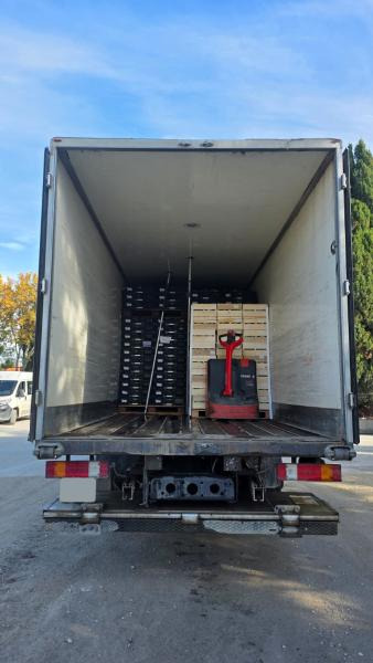 Leie Mercedes Atego 1823 Mercedes Atego 1823: bilde 8