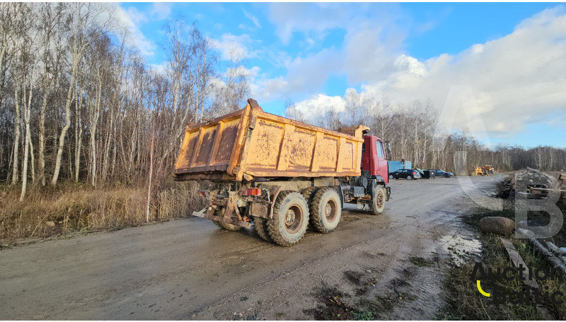 Maz 551669 - Tippbil: bilde 4 Maz 551669 - Tippbil: bilde 4