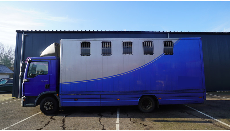 MAN TGL 8.180 HORSE TRANPORT 515.000KM - Hestebil: bilde 1 MAN TGL 8.180 HORSE TRANPORT 515.000KM - Hestebil: bilde 1
