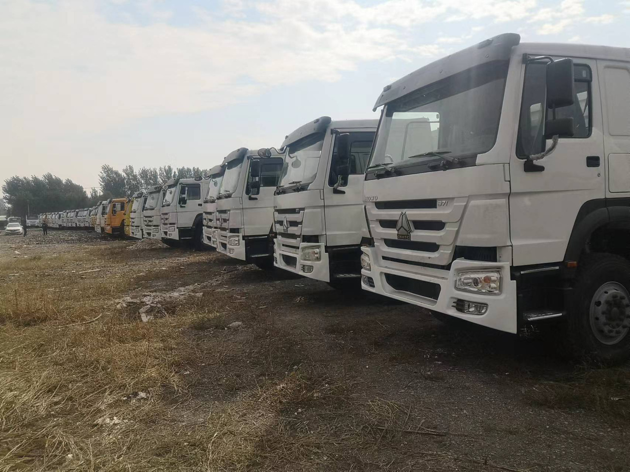 SINOTRUK HOWO WITH FENCE LIVESTOCK DUMP TRUCK - Tippbil: bilde 1 SINOTRUK HOWO WITH FENCE LIVESTOCK DUMP TRUCK - Tippbil: bilde 1