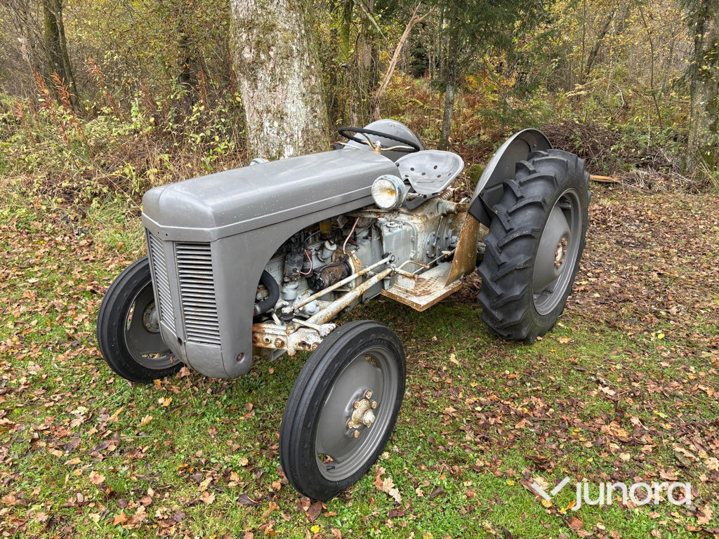 Grolle Massey Fergusson - Traktor: bilde 2 Grolle Massey Fergusson - Traktor: bilde 2