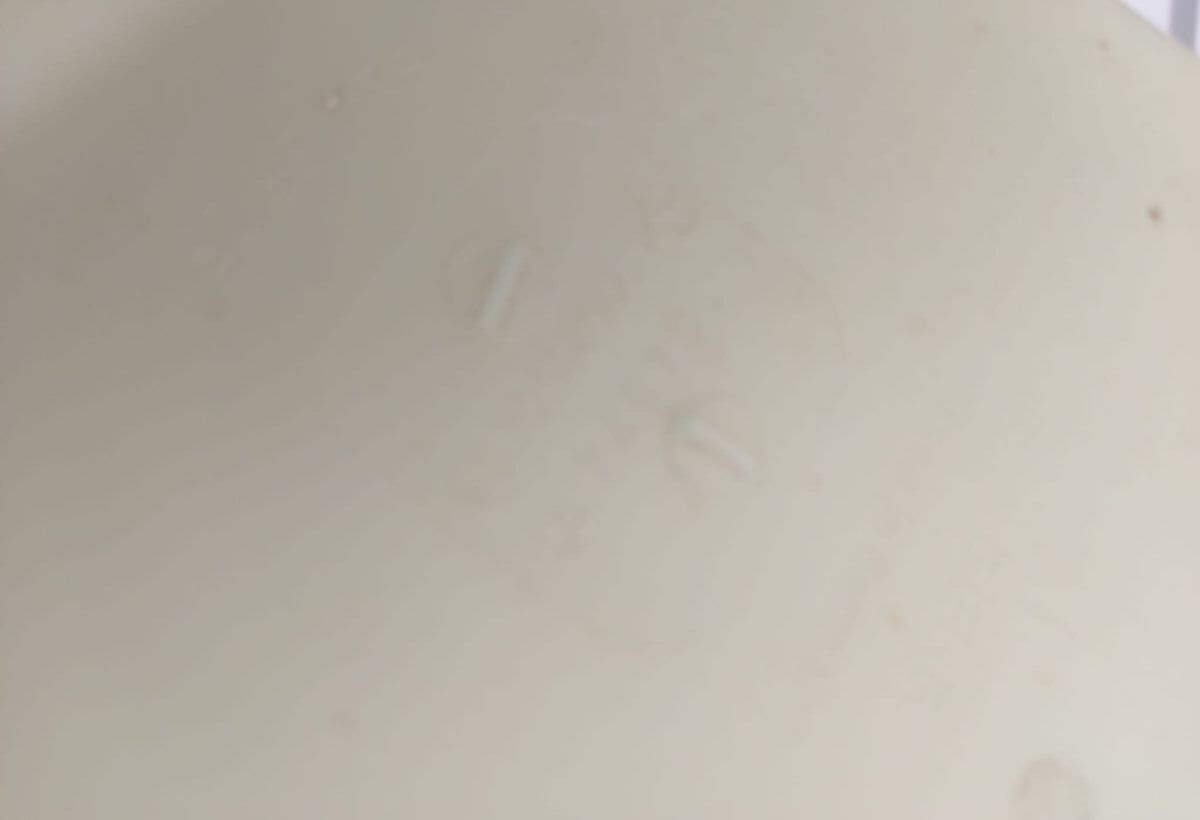 Mercedes-Benz A9062050406 Mercedes-Benz Actros Axor truck - Vifte for Lastebil: bilde 5 Mercedes-Benz A9062050406 Mercedes-Benz Actros Axor truck - Vifte for Lastebil: bilde 5