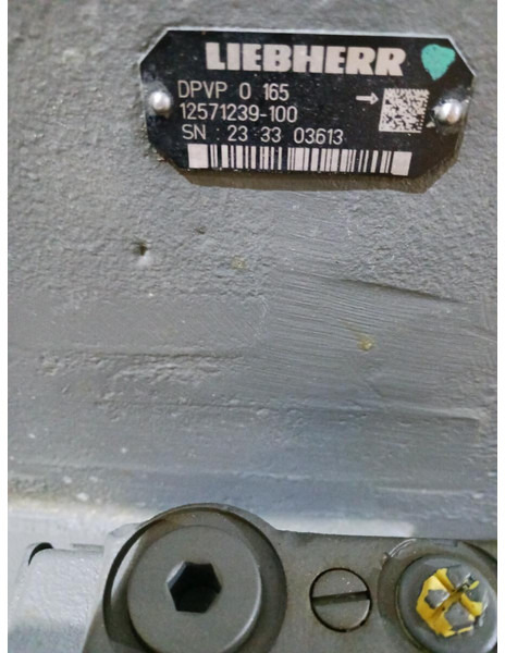 Liebherr DPVPO165 - Hydraulisk pumpe: bilde 1 Liebherr DPVPO165 - Hydraulisk pumpe: bilde 1