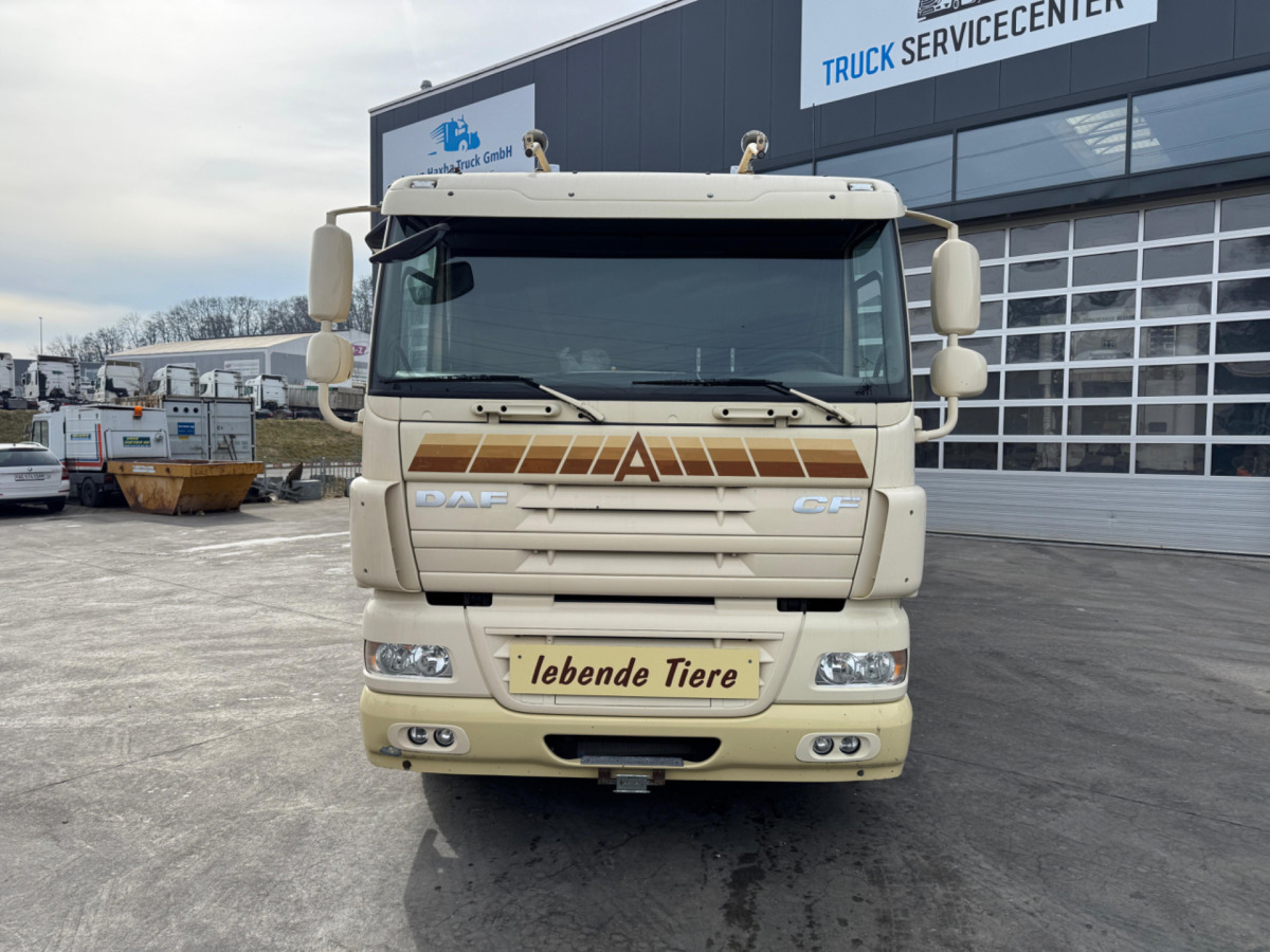 DAF CF410 4x2 - Dyretransport lastebil: bilde 2 DAF CF410 4x2 - Dyretransport lastebil: bilde 2