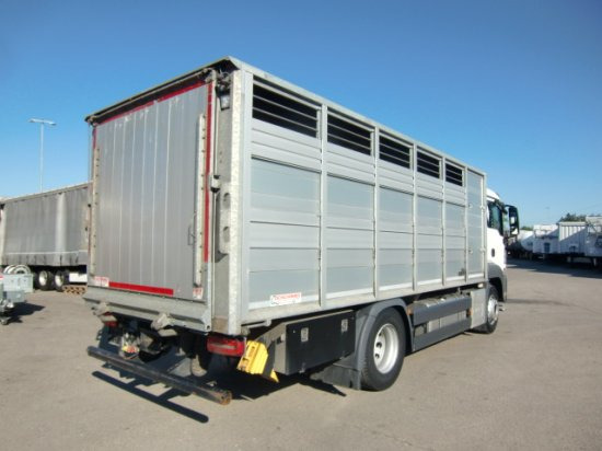 MAN TGS 18.420 Tiertransporter,Euro 6, Manual Seilwinde, el. Ladebordwand Voll Luft - Hestebil: bilde 4 MAN TGS 18.420 Tiertransporter,Euro 6, Manual Seilwinde, el. Ladebordwand Voll Luft - Hestebil: bilde 4