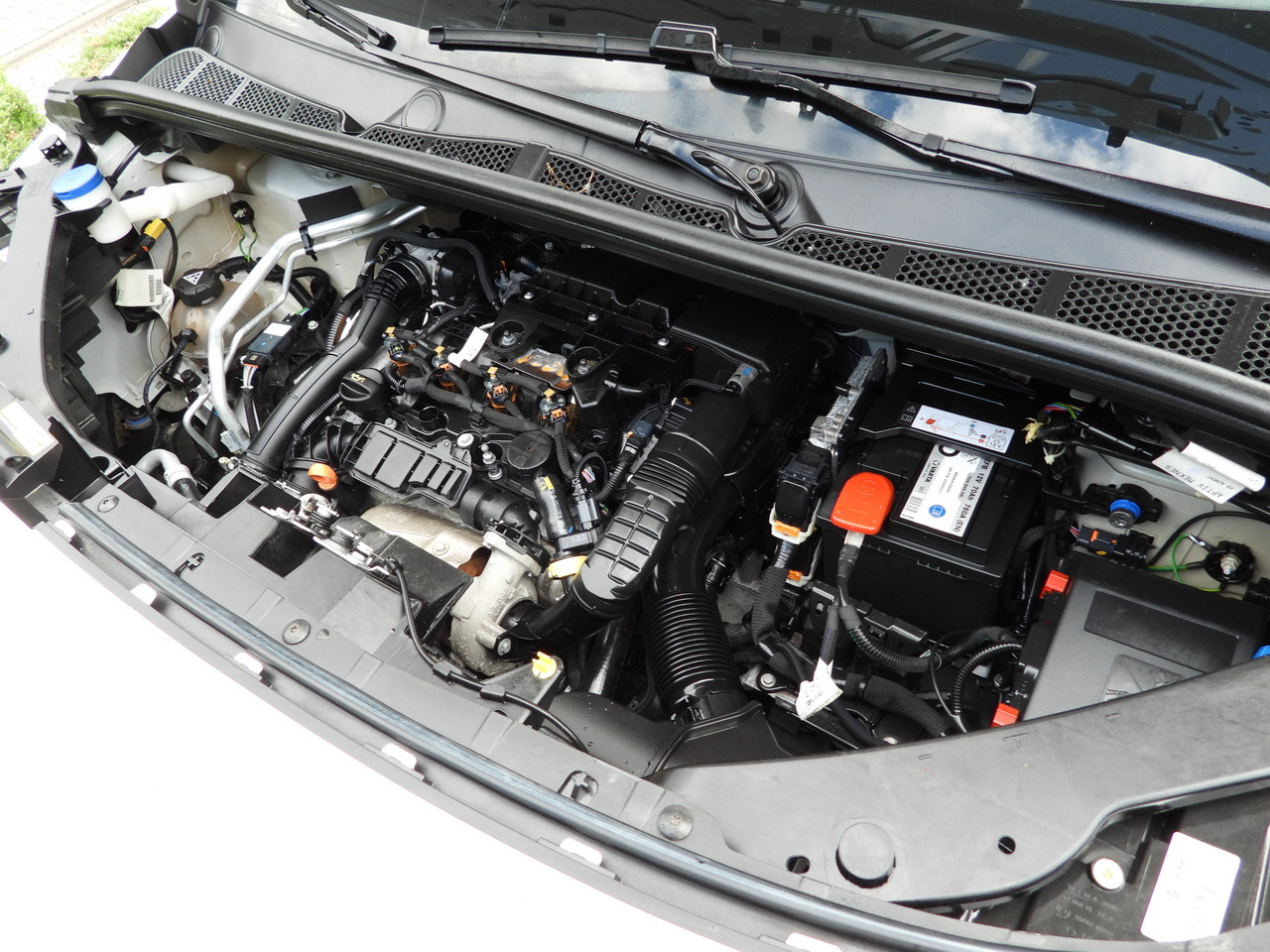 Kjølebil TOYOTA PROACE CITY  REFRIGERATOR VAN -15*C POWER SUPPLY 230V CRUISE CONTROL AIR CONDITIONING  100HP: bilde 25