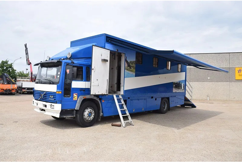 Volvo FL 250 - 19 ton ( 7 PAARDEN ) - Hestebil: bilde 3 Volvo FL 250 - 19 ton ( 7 PAARDEN ) - Hestebil: bilde 3