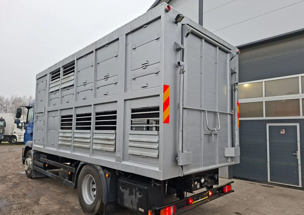 MAN TGM 18.250 4x2 DO ŻYWCA - Dyretransport lastebil: bilde 3 MAN TGM 18.250 4x2 DO ŻYWCA - Dyretransport lastebil: bilde 3