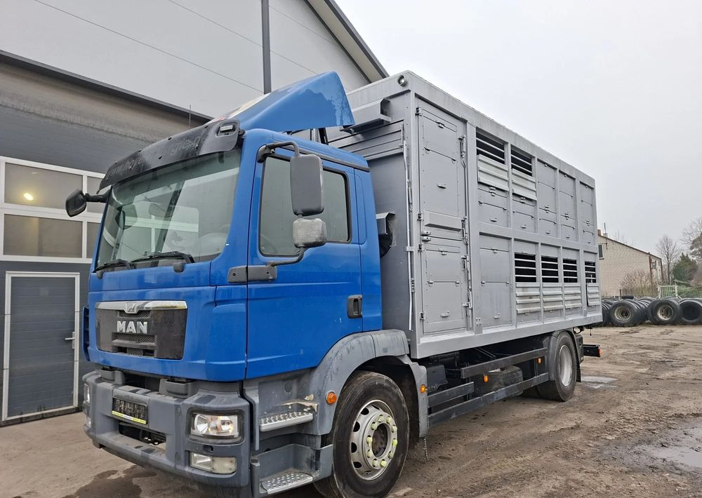 MAN TGM 18.250 4x2 DO ŻYWCA - Dyretransport lastebil: bilde 4 MAN TGM 18.250 4x2 DO ŻYWCA - Dyretransport lastebil: bilde 4