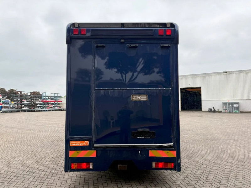 Mercedes-Benz Atego 1223 / ENGINE RUNNING / ONLY:159450 KM / HORSETRUCK / HEATED BOX / WATERTANK / LIVING ROOM / EURO-2 / MANUAL / 1998 - Hestebil: bilde 4 Mercedes-Benz Atego 1223 / ENGINE RUNNING / ONLY:159450 KM / HORSETRUCK / HEATED BOX / WATERTANK / LIVING ROOM / EURO-2 / MANUAL / 1998 - Hestebil: bilde 4