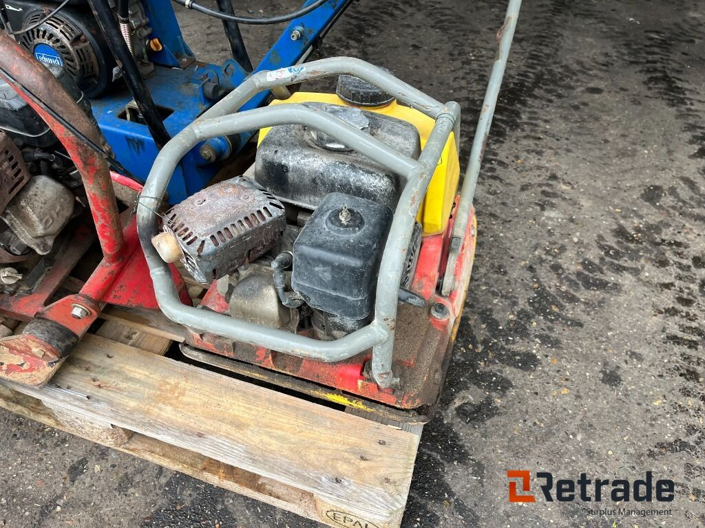 Pladevibrator Wacker/Neuson Plade vibrator - Anleggsmaskiner: bilde 1 Pladevibrator Wacker/Neuson Plade vibrator - Anleggsmaskiner: bilde 1
