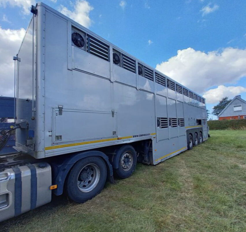 Gray and Adams Gray and Adams Gadd3 / Works Great / Hydraulic / 2 Levels - Dyretransport semitrailer: bilde 5 Gray and Adams Gray and Adams Gadd3 / Works Great / Hydraulic / 2 Levels - Dyretransport semitrailer: bilde 5