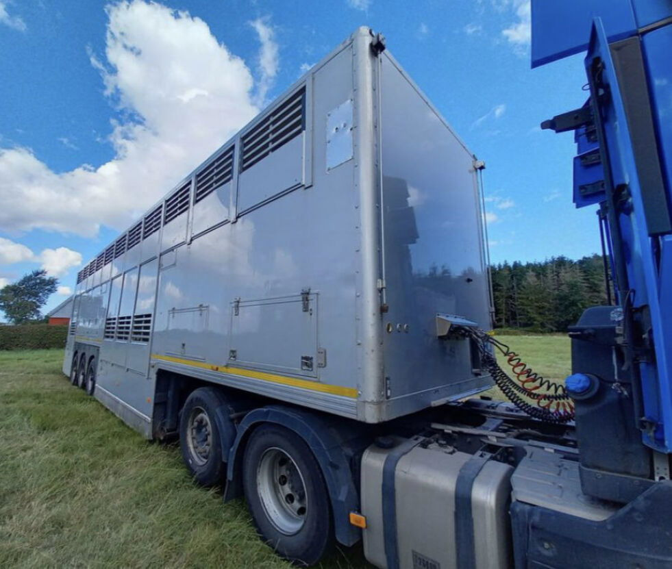 Gray and Adams Gray and Adams Gadd3 / Works Great / Hydraulic / 2 Levels - Dyretransport semitrailer: bilde 4 Gray and Adams Gray and Adams Gadd3 / Works Great / Hydraulic / 2 Levels - Dyretransport semitrailer: bilde 4