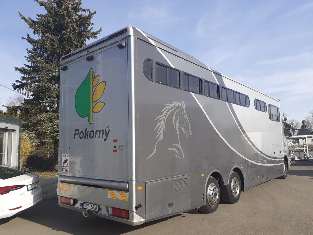 Scania 94G 300 Pferd/Horse-transport (M1 Zulassung) 6x2 - Hestebil: bilde 5 Scania 94G 300 Pferd/Horse-transport (M1 Zulassung) 6x2 - Hestebil: bilde 5
