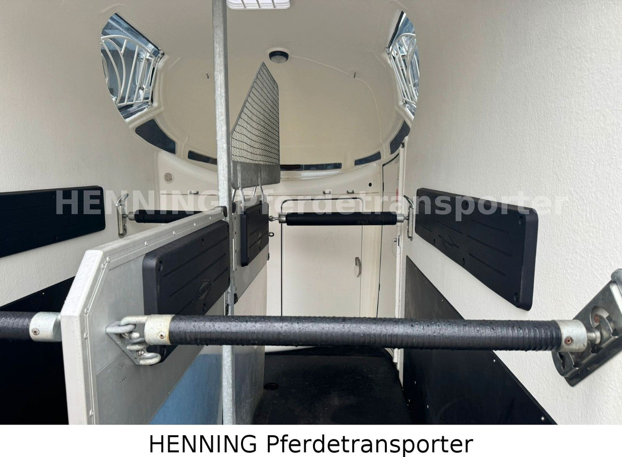Dyretransport tilhenger Böckmann 2 - Pferde Anhänger: bilde 8