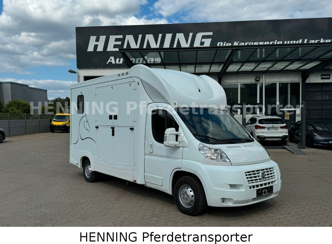 Fiat Ducato 3-Sitzer - Hestebil, Varebil: bilde 1 Fiat Ducato 3-Sitzer - Hestebil, Varebil: bilde 1