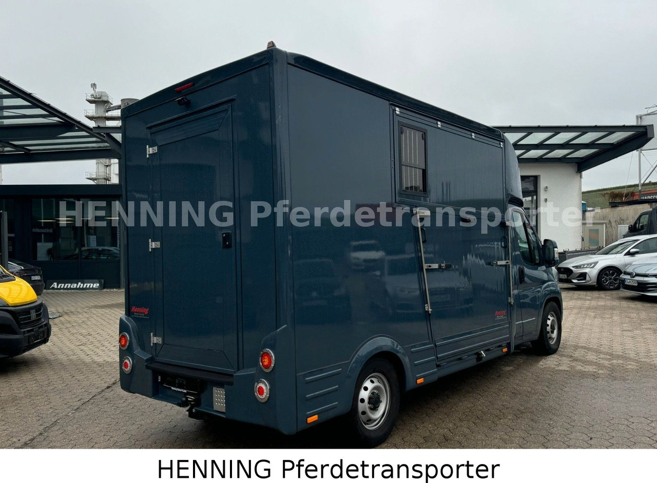 Fiat Ducato *AUTOMATIK* 3 - Sitzer - Dyretransport lastebil: bilde 3 Fiat Ducato *AUTOMATIK* 3 - Sitzer - Dyretransport lastebil: bilde 3