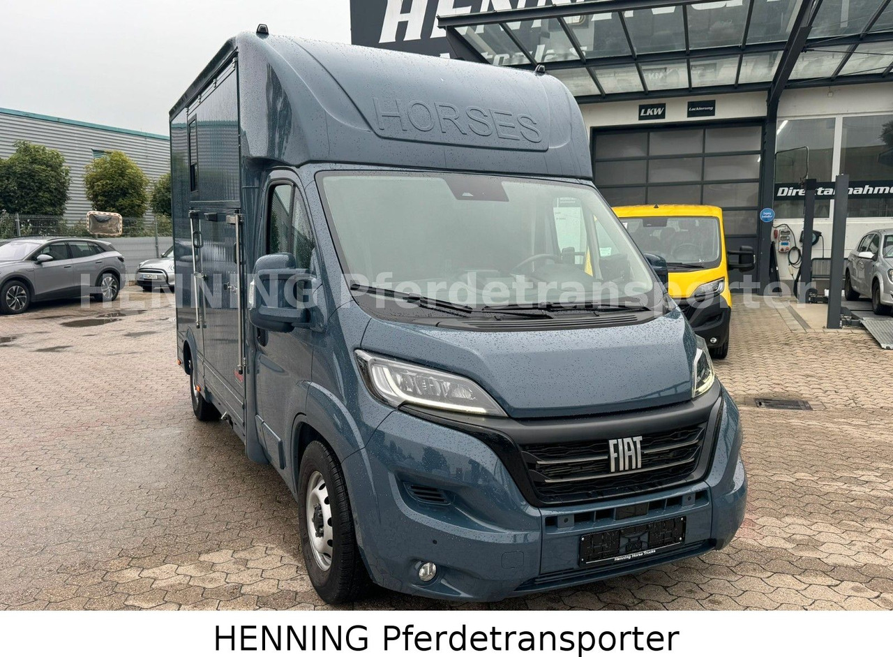 Fiat Ducato *AUTOMATIK* 3 - Sitzer - Dyretransport lastebil: bilde 2 Fiat Ducato *AUTOMATIK* 3 - Sitzer - Dyretransport lastebil: bilde 2