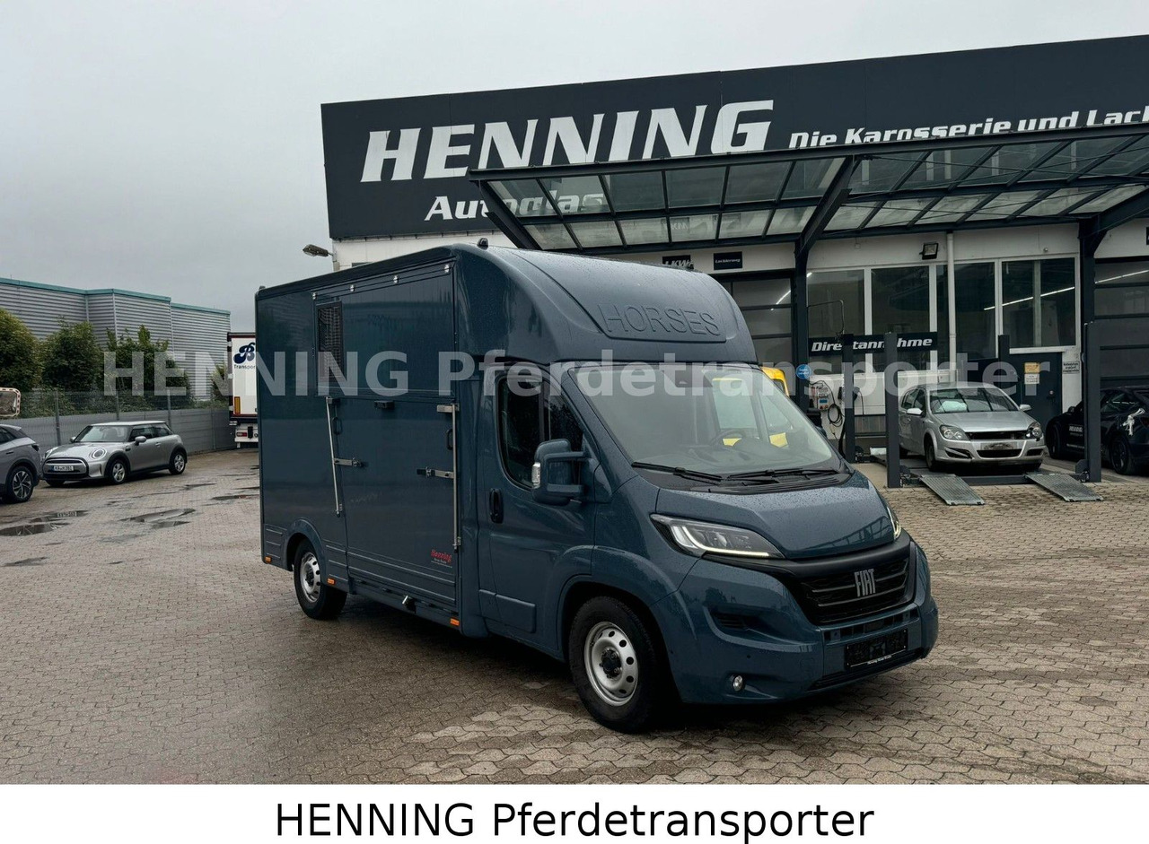 Fiat Ducato *AUTOMATIK* 3 - Sitzer - Dyretransport lastebil: bilde 1 Fiat Ducato *AUTOMATIK* 3 - Sitzer - Dyretransport lastebil: bilde 1