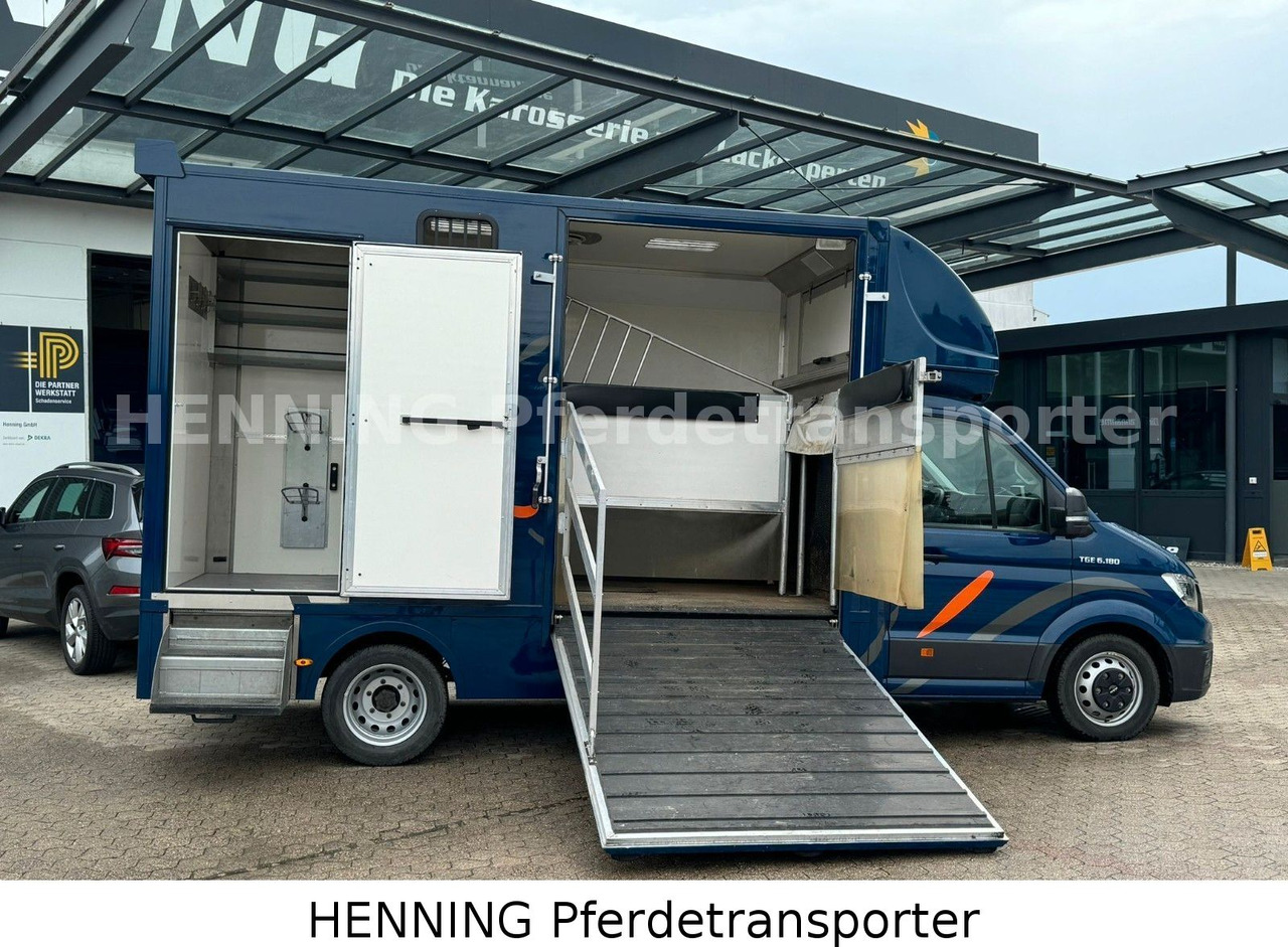 MAN TGE 5.500kg Gesamtgewicht - Dyretransport lastebil: bilde 5 MAN TGE 5.500kg Gesamtgewicht - Dyretransport lastebil: bilde 5