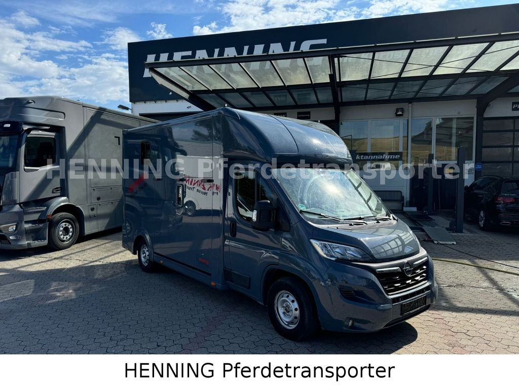 Opel Movano 3 - Sitzer *AUFBAU NEU* Opel Movano 3 - Sitzer *AUFBAU NEU* - Hestebil: bilde 1 Opel Movano 3 - Sitzer *AUFBAU NEU* Opel Movano 3 - Sitzer *AUFBAU NEU* - Hestebil: bilde 1