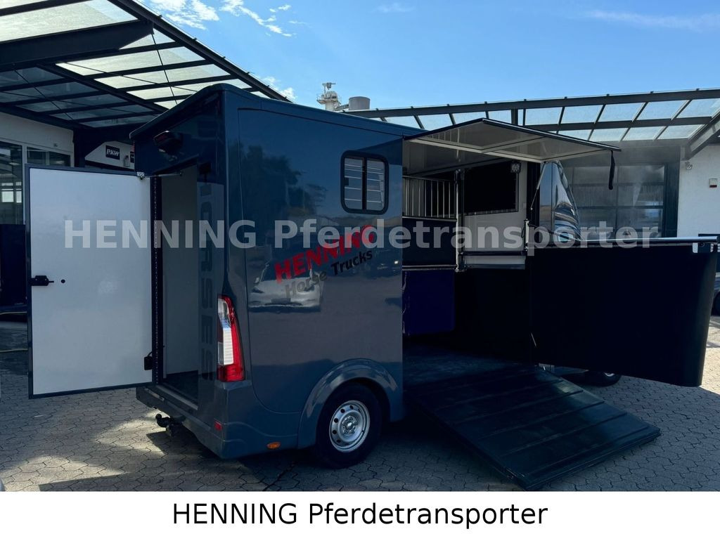 Opel Movano 3 - Sitzer *AUFBAU NEU* Opel Movano 3 - Sitzer *AUFBAU NEU* - Hestebil: bilde 3 Opel Movano 3 - Sitzer *AUFBAU NEU* Opel Movano 3 - Sitzer *AUFBAU NEU* - Hestebil: bilde 3