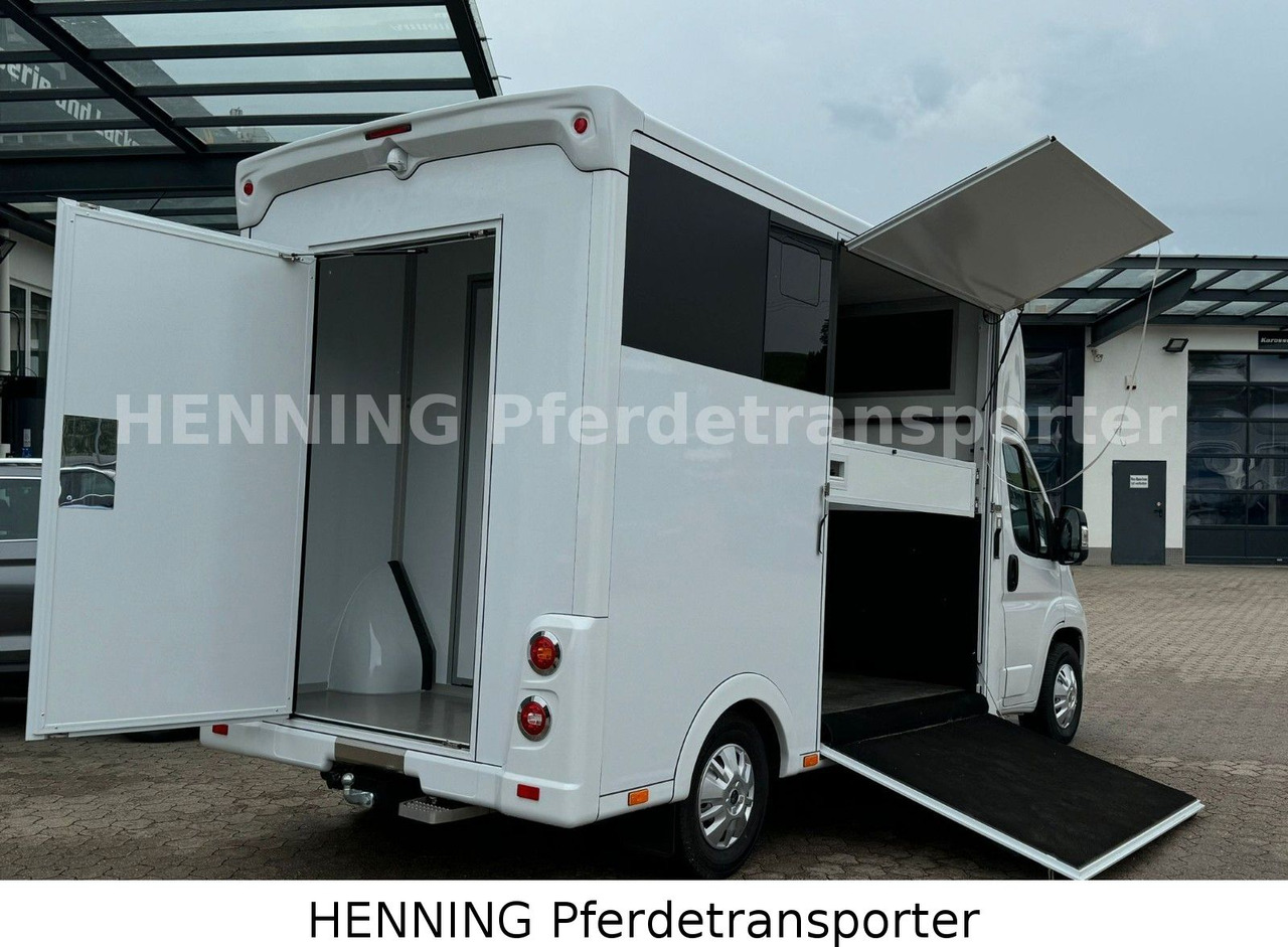 Peugeot Boxer *NEUWAGEN* ca. 1.200kg Nutzlast - Dyretransport lastebil: bilde 4 Peugeot Boxer *NEUWAGEN* ca. 1.200kg Nutzlast - Dyretransport lastebil: bilde 4