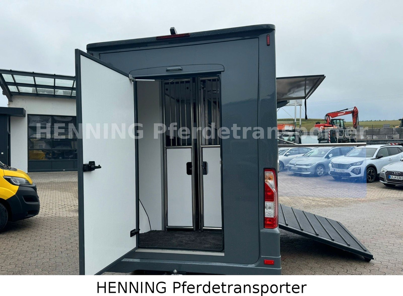 Renault Master 3 - Sitzer *NEUES MODELL* - Dyretransport lastebil: bilde 4 Renault Master 3 - Sitzer *NEUES MODELL* - Dyretransport lastebil: bilde 4