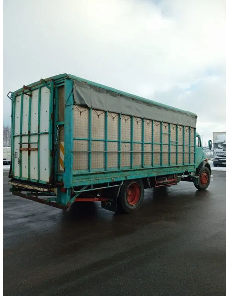 Mercedes-Benz 1113 - Skapbil: bilde 5 Mercedes-Benz 1113 - Skapbil: bilde 5