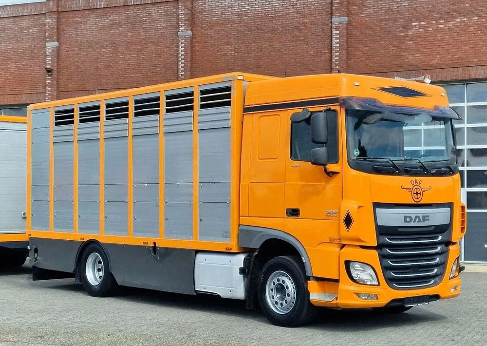 DAF XF 460 4x2 SpaceCab – Menke Livestock | 1 pokład | Euro 6 | 2016 - Dyretransport lastebil: bilde 4 DAF XF 460 4x2 SpaceCab – Menke Livestock | 1 pokład | Euro 6 | 2016 - Dyretransport lastebil: bilde 4