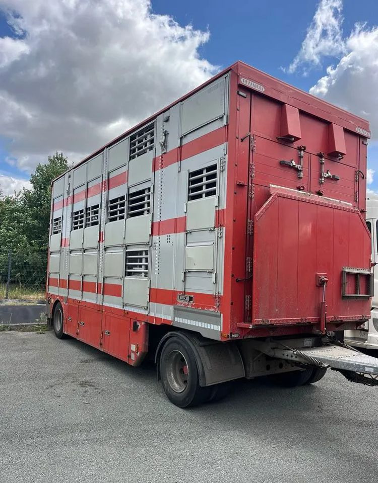 DAF XF 530 + Przyczepa Pezzaoli - 3X Trzoda, 2 X Bydło I 3 poziomy I Podnoszony dach I Hydroburta I Osie Skrętne I Poidła I Wentylatory I Pilot Manualny | - Dyretransport lastebil: bilde 4 DAF XF 530 + Przyczepa Pezzaoli - 3X Trzoda, 2 X Bydło I 3 poziomy I Podnoszony dach I Hydroburta I Osie Skrętne I Poidła I Wentylatory I Pilot Manualny | - Dyretransport lastebil: bilde 4