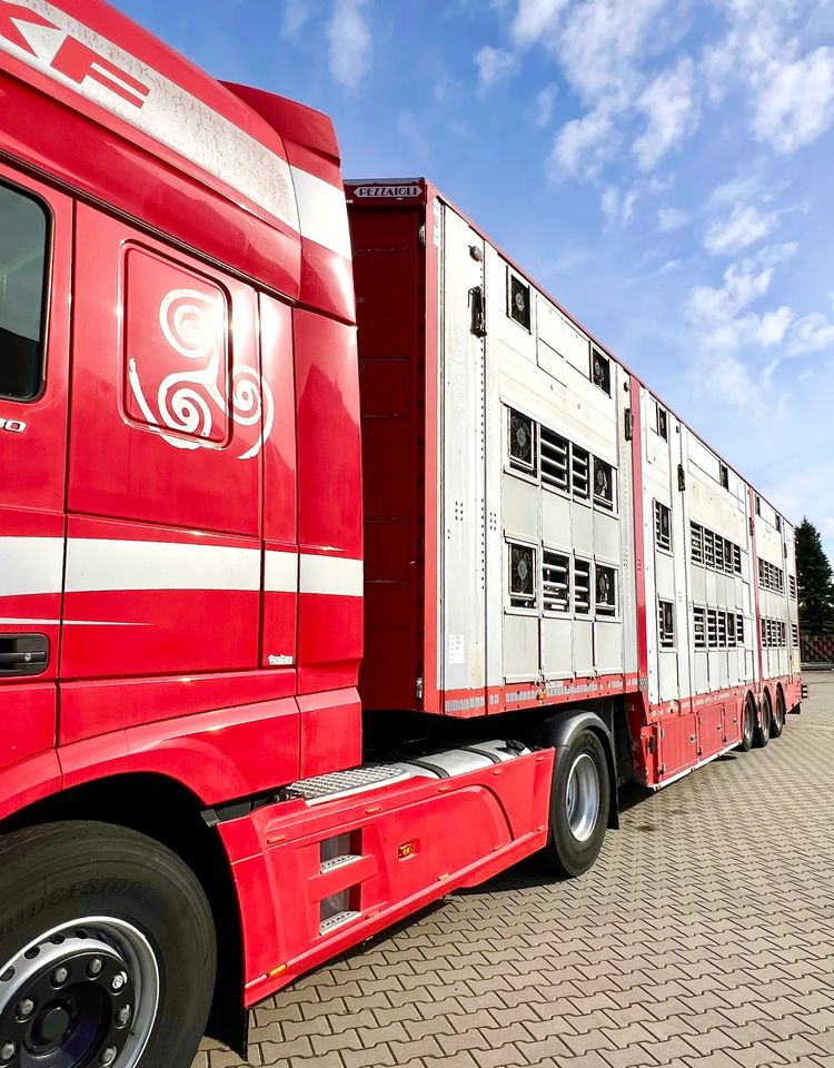 Leie  Pezzaioli NACZEPA  2017 / 3 POZIOMY / TRANSPORT ZWIERZĄT / HYDRAULIKA / STEROWANIE PILOTEM/ PODNOSZONY DACH / Pezzaioli NACZEPA  2017 / 3 POZIOMY / TRANSPORT ZWIERZĄT / HYDRAULIKA / STEROWANIE PILOTEM/ PODNOSZONY DACH /: bilde 7