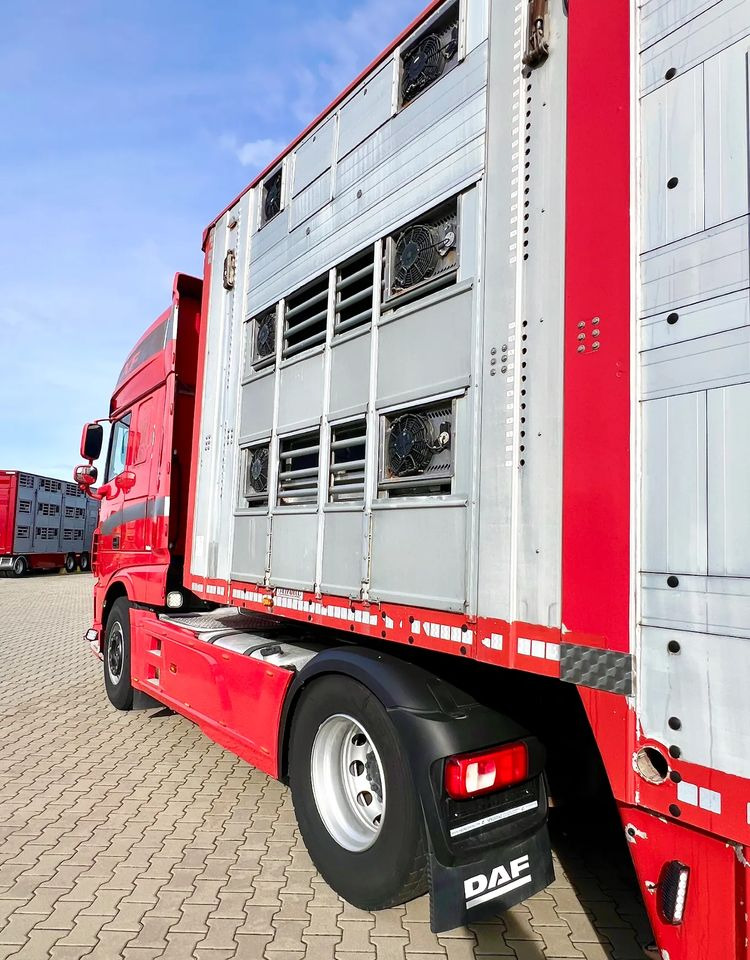 Leie  Pezzaioli NACZEPA  2017 / 3 POZIOMY / TRANSPORT ZWIERZĄT / HYDRAULIKA / STEROWANIE PILOTEM/ PODNOSZONY DACH / Pezzaioli NACZEPA  2017 / 3 POZIOMY / TRANSPORT ZWIERZĄT / HYDRAULIKA / STEROWANIE PILOTEM/ PODNOSZONY DACH /: bilde 8