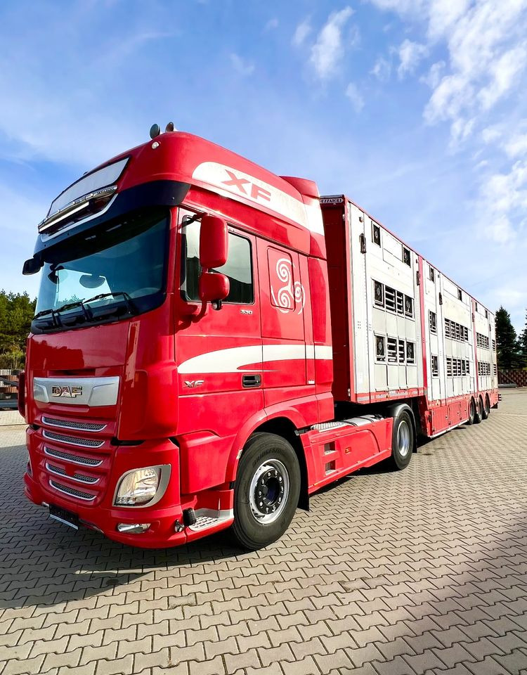 Pezzaioli NACZEPA 2017 / 3 POZIOMY / TRANSPORT ZWIERZĄT / HYDRAULIKA / STEROWANIE PILOTEM/ PODNOSZONY DACH / - Dyretransport semitrailer: bilde 5 Pezzaioli NACZEPA 2017 / 3 POZIOMY / TRANSPORT ZWIERZĄT / HYDRAULIKA / STEROWANIE PILOTEM/ PODNOSZONY DACH / - Dyretransport semitrailer: bilde 5