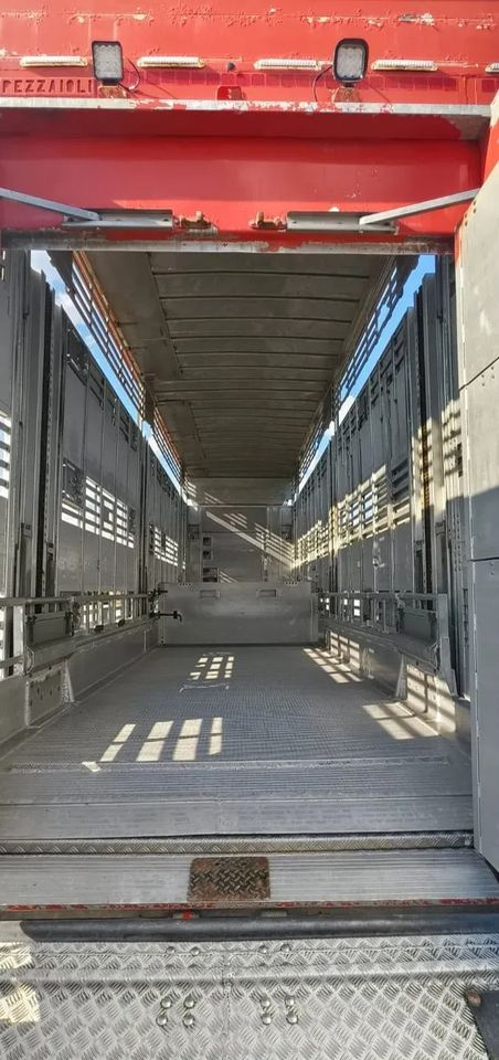 Leie  Pezzaioli NACZEPA  2017 / 3 POZIOMY / TRANSPORT ZWIERZĄT / HYDRAULIKA / STEROWANIE PILOTEM/ PODNOSZONY DACH / Pezzaioli NACZEPA  2017 / 3 POZIOMY / TRANSPORT ZWIERZĄT / HYDRAULIKA / STEROWANIE PILOTEM/ PODNOSZONY DACH /: bilde 13