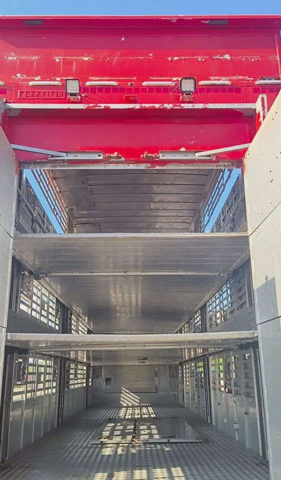 Leie  Pezzaioli NACZEPA  2017 / 3 POZIOMY / TRANSPORT ZWIERZĄT / HYDRAULIKA / STEROWANIE PILOTEM/ PODNOSZONY DACH / Pezzaioli NACZEPA  2017 / 3 POZIOMY / TRANSPORT ZWIERZĄT / HYDRAULIKA / STEROWANIE PILOTEM/ PODNOSZONY DACH /: bilde 14