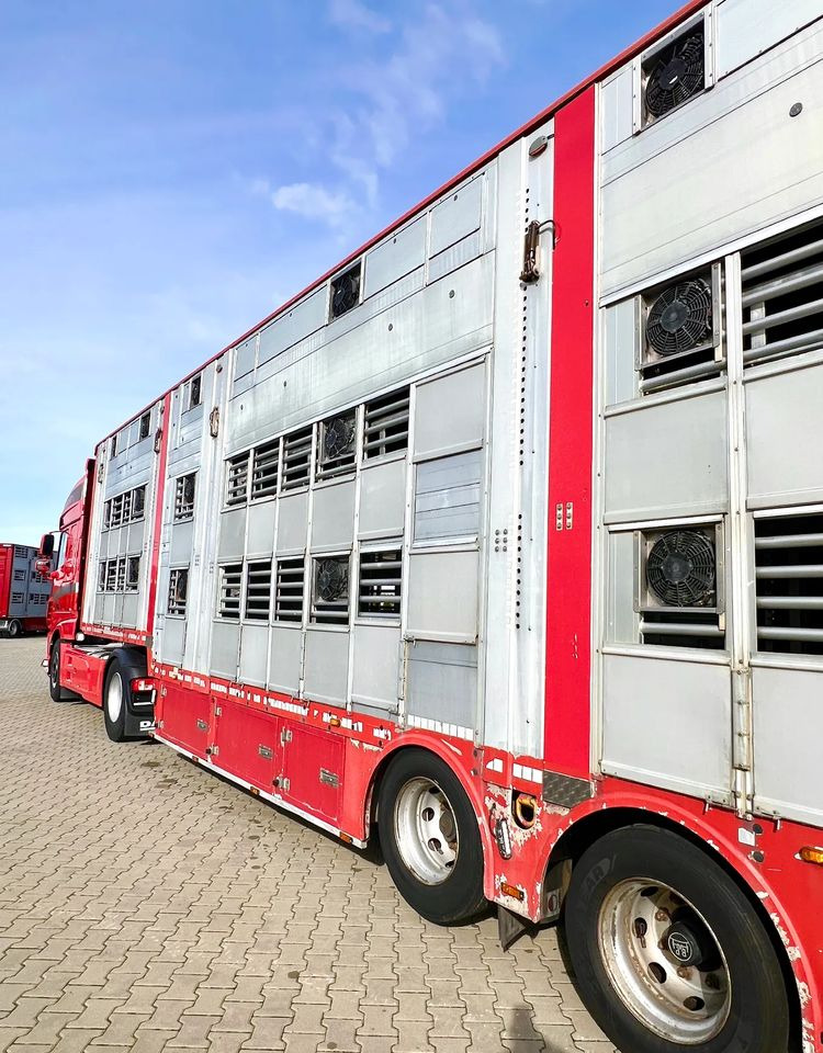 Leie  Pezzaioli NACZEPA  2017 / 3 POZIOMY / TRANSPORT ZWIERZĄT / HYDRAULIKA / STEROWANIE PILOTEM/ PODNOSZONY DACH / Pezzaioli NACZEPA  2017 / 3 POZIOMY / TRANSPORT ZWIERZĄT / HYDRAULIKA / STEROWANIE PILOTEM/ PODNOSZONY DACH /: bilde 9