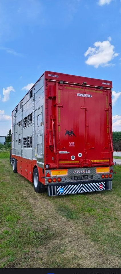 Pezzaioli RBA22 Dwuosiowa Przyczepa – 2x Bydło, 3x Trzoda – 2017r – Bezwypadkowa! - Dyretransport tilhenger: bilde 4 Pezzaioli RBA22 Dwuosiowa Przyczepa – 2x Bydło, 3x Trzoda – 2017r – Bezwypadkowa! - Dyretransport tilhenger: bilde 4