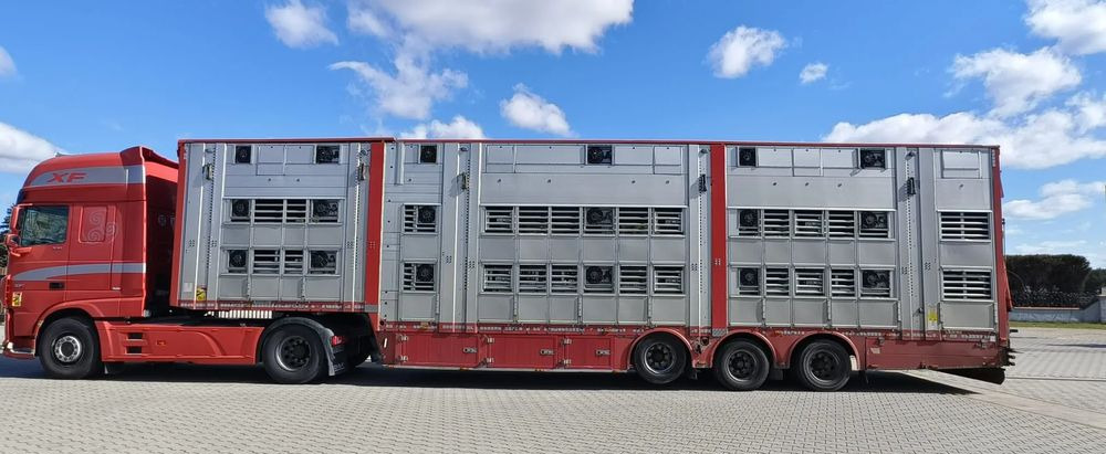 Pezzaioli SBA32/hydrauliczny dach/hydrauliczna rampa/ 3 poziomy/ 2xbydło -3xtrzoda/wentylatory/poidła/sterowanie pilotem - Dyretransport semitrailer: bilde 3 Pezzaioli SBA32/hydrauliczny dach/hydrauliczna rampa/ 3 poziomy/ 2xbydło -3xtrzoda/wentylatory/poidła/sterowanie pilotem - Dyretransport semitrailer: bilde 3