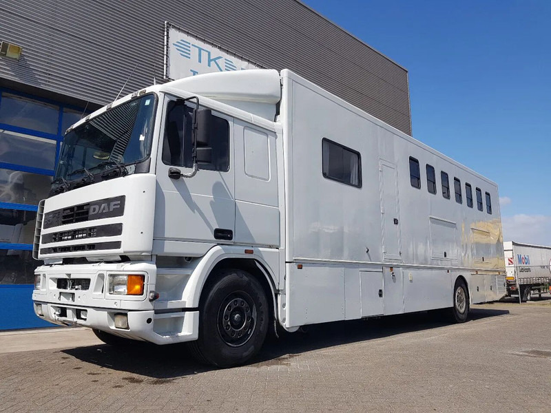 DAF 95.350 Paardenwagen met zitverblijf 7 paarden 7 horses - Hestebil: bilde 1 DAF 95.350 Paardenwagen met zitverblijf 7 paarden 7 horses - Hestebil: bilde 1