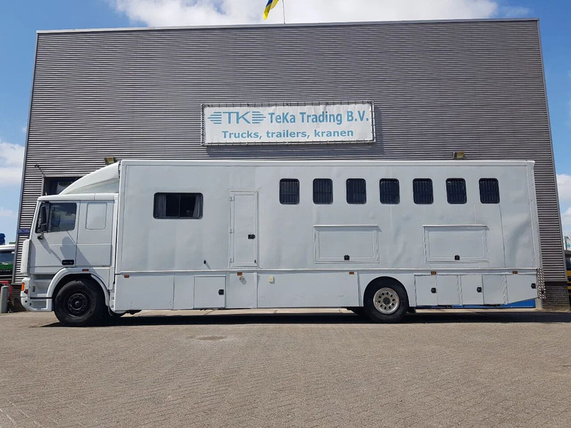 DAF 95.350 Paardenwagen met zitverblijf 7 paarden 7 horses - Hestebil: bilde 3 DAF 95.350 Paardenwagen met zitverblijf 7 paarden 7 horses - Hestebil: bilde 3
