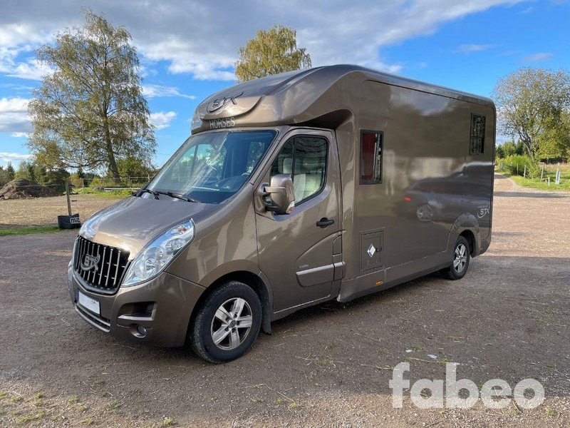 Opel STX Movano - Hestebil: bilde 1 Opel STX Movano - Hestebil: bilde 1